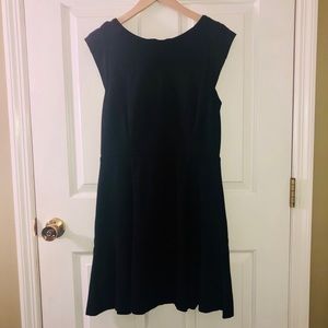 Banana Republic Fit and Flare Dress